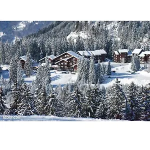 studio-au-pied-des-pistes-avec-une-vue-sur-la-montagne.hotels-rhonealpes.com/